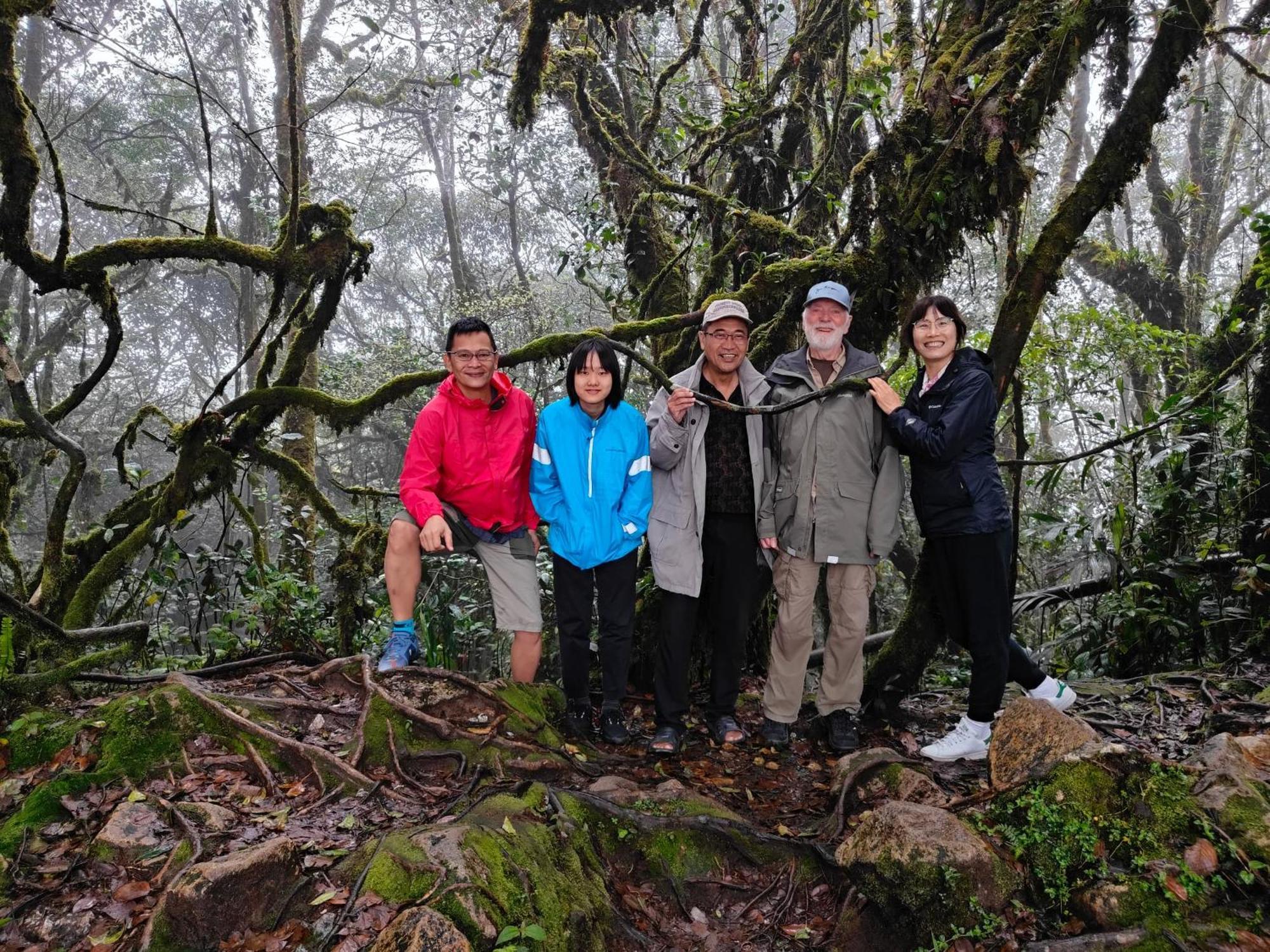 Tekoma Cameron Highlands