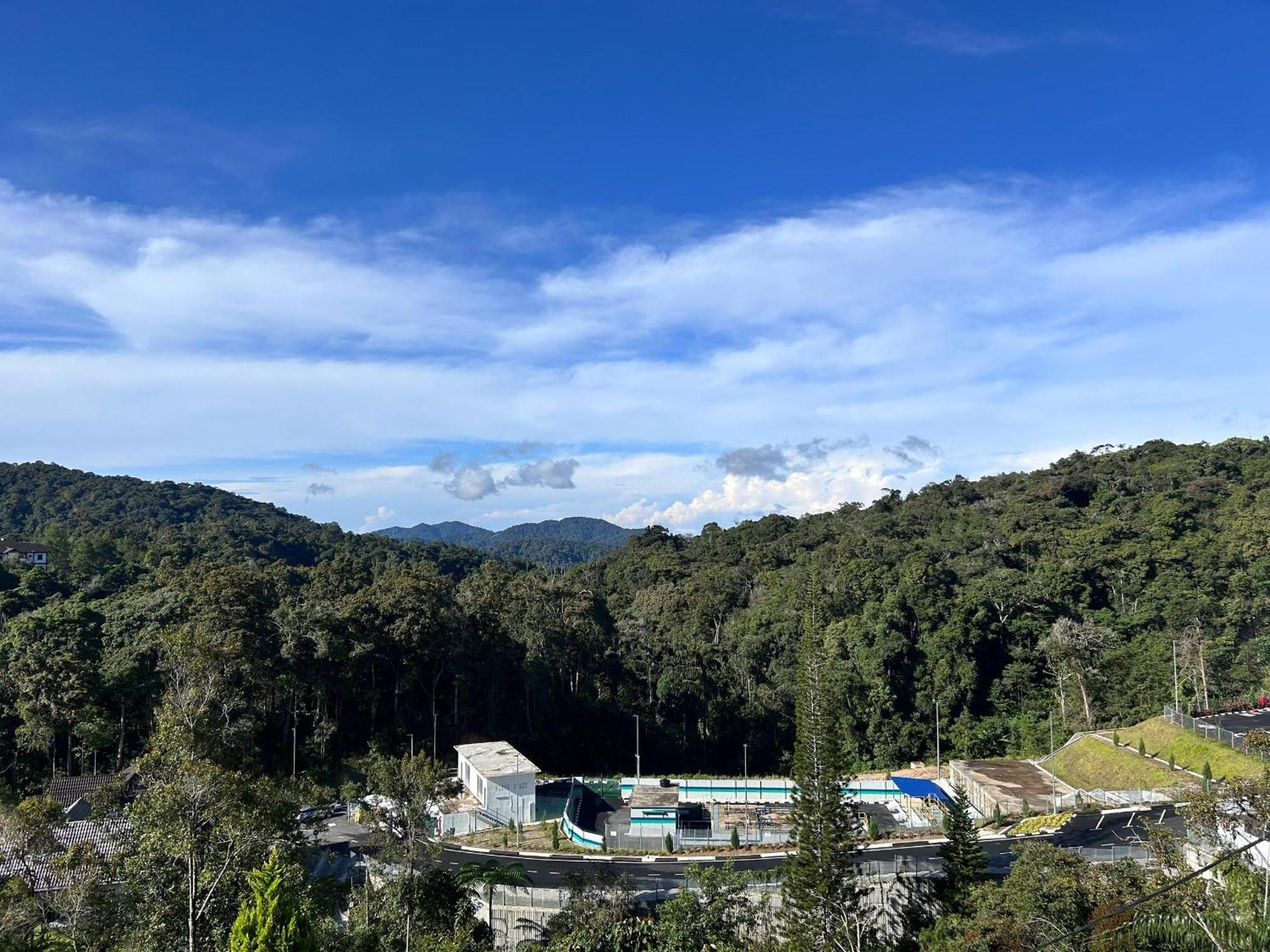 Tekoma Cameron Highlands Tanah Rata